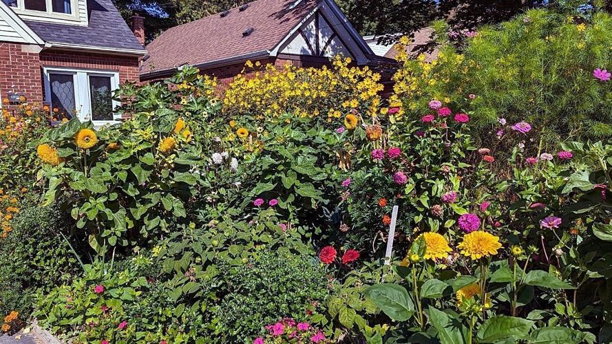 Open Garden Week 2024 The listings