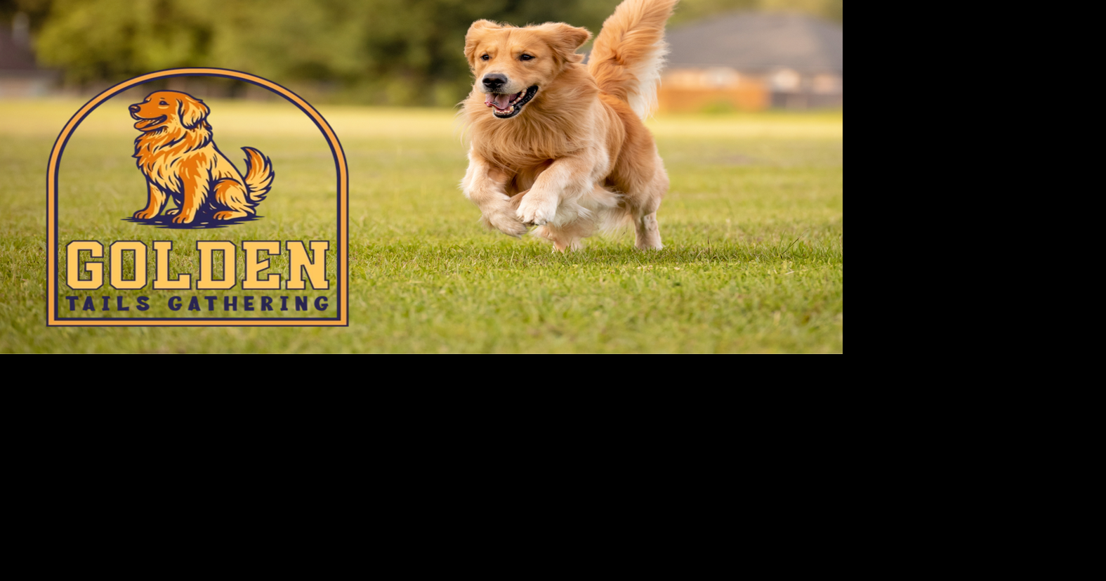 Golden Retriever Festival debuts in Golden this fall