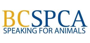BC SPCA urges election candidates to commit to pet-friendly housing laws