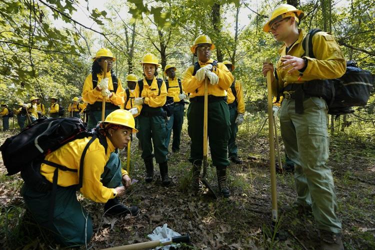 Forest and park service worker cuts leave wildland firefighting crews short-staffed