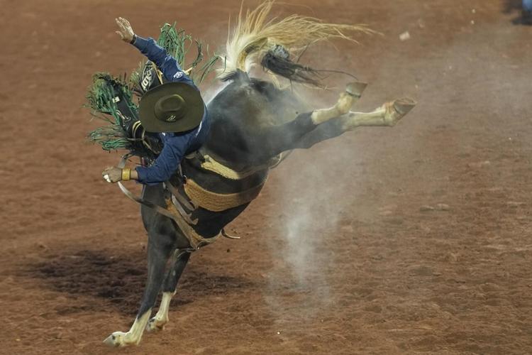Barrtos Rodeo At LatAm’s biggest rodeo, Brazilians don’t believe the polls