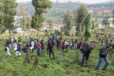 Ethiopia's national tree campaign underway with aim to plant 700 million seedlings in one day