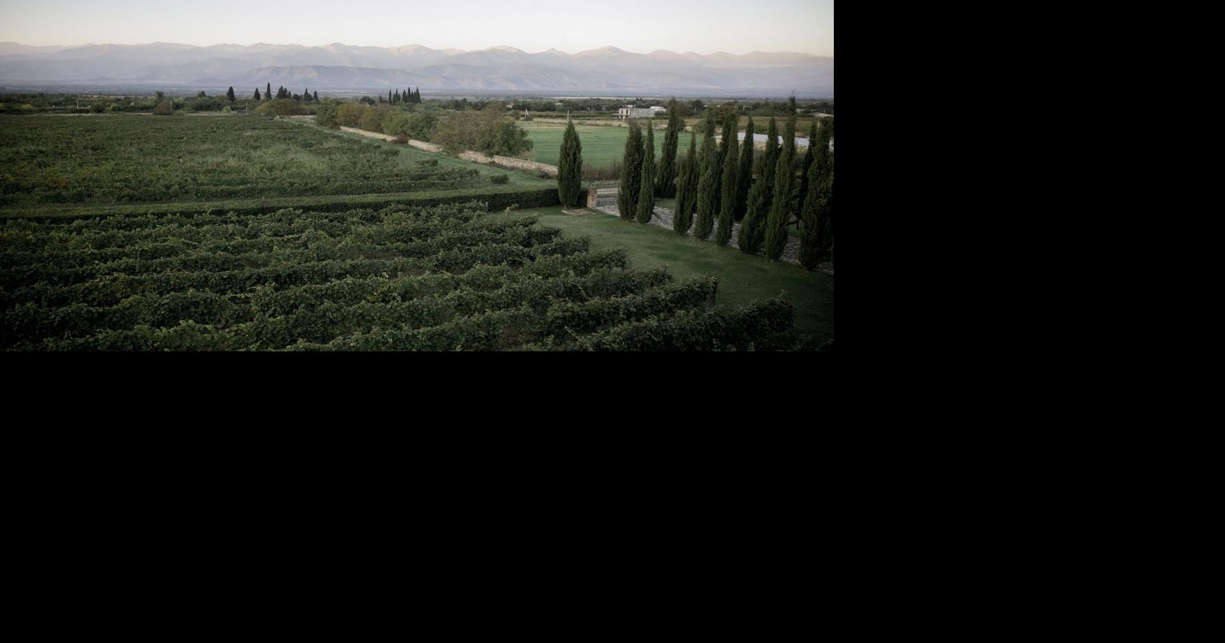 In the Old World wine region of Georgia, I found a fascinating new generation of vintners