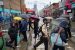 Toronto under rainfall warning, flood watch with up to 40 mm expected this weekend