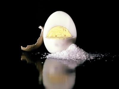 2025-thekit.ca-Protein Fatigue