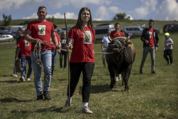 A teenage bullfighting enthusiast celebrates victories in Bosnia