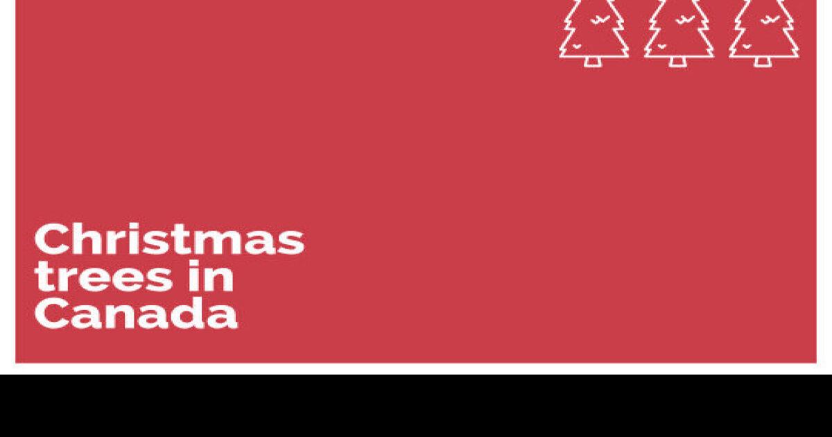 Facts about the Christmas tree industry in Canada