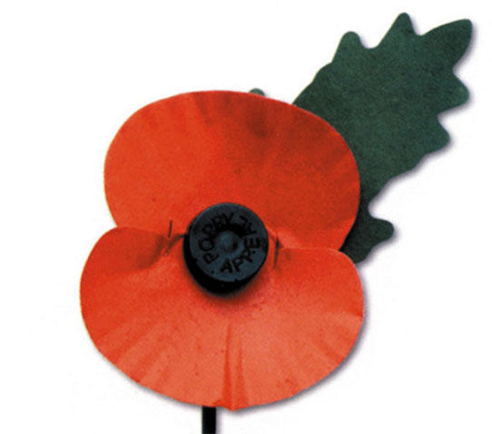 Why not all poppies look the same