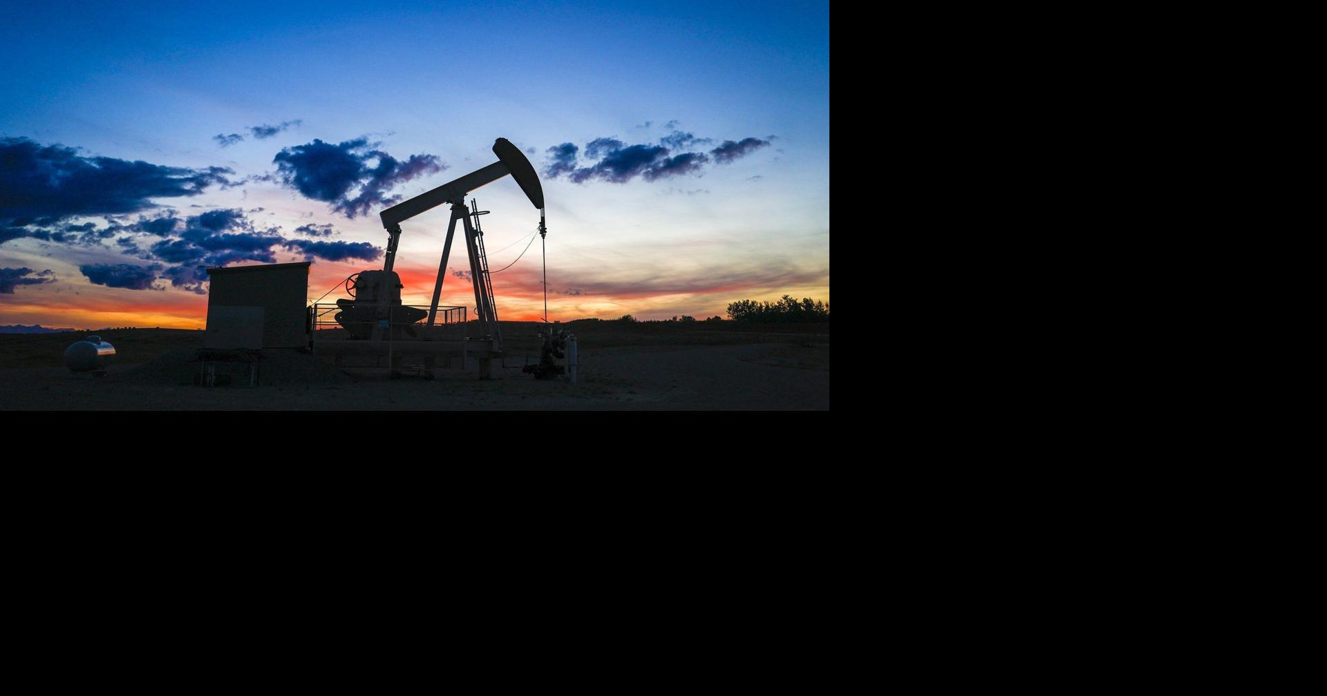 Canada's economy was 'surprisingly OK' to start 2026: economists