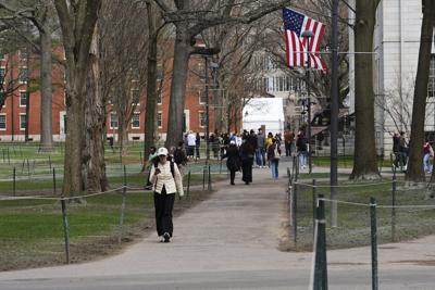Harvard campus.JPG