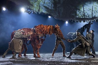 warhorse