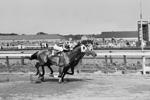 Final stretch: NYC’s last horse track, Aqueduct, ending live races