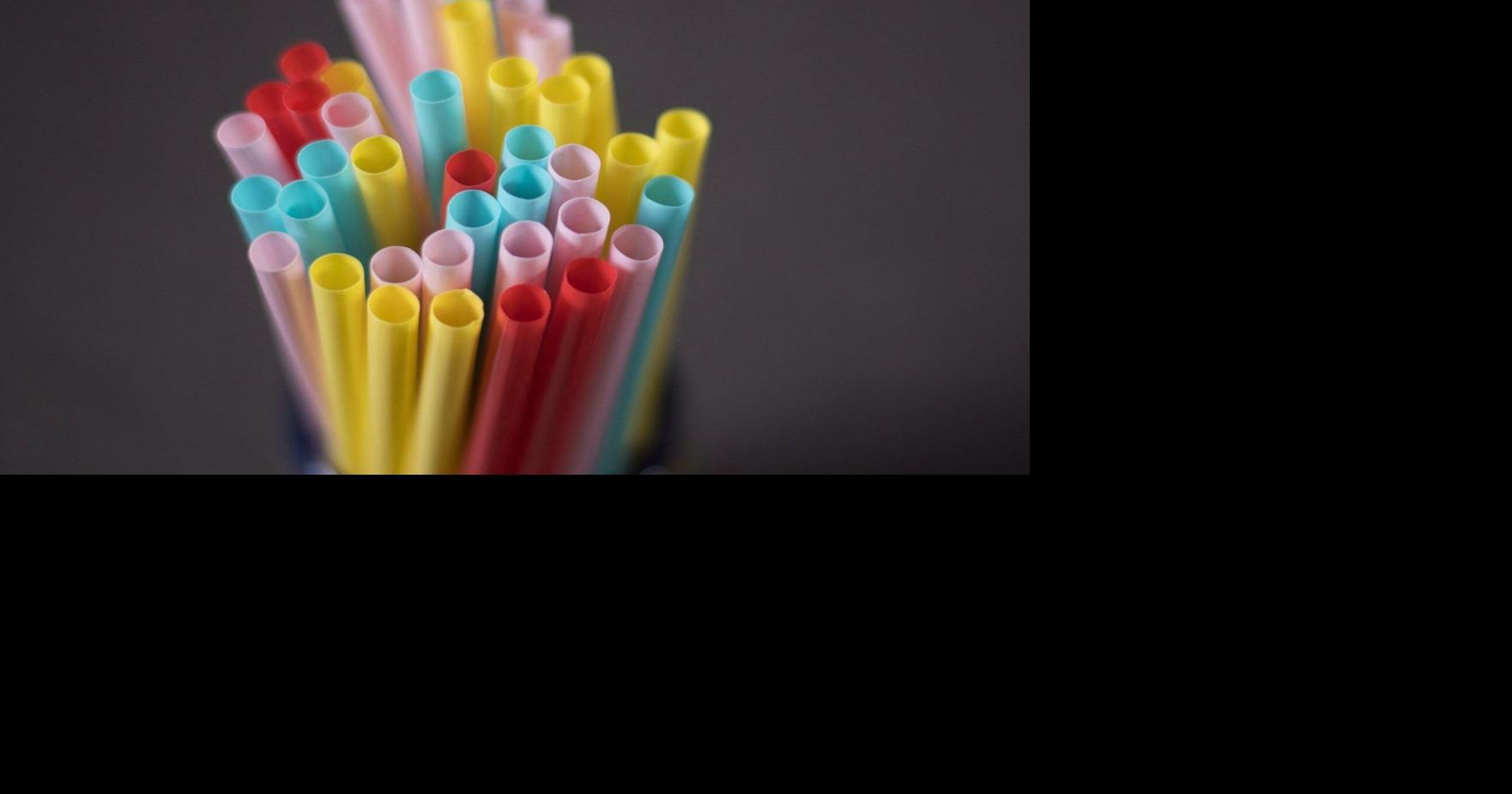 Federal Court of appeal to rule on Ottawa's single-use plastics ban today