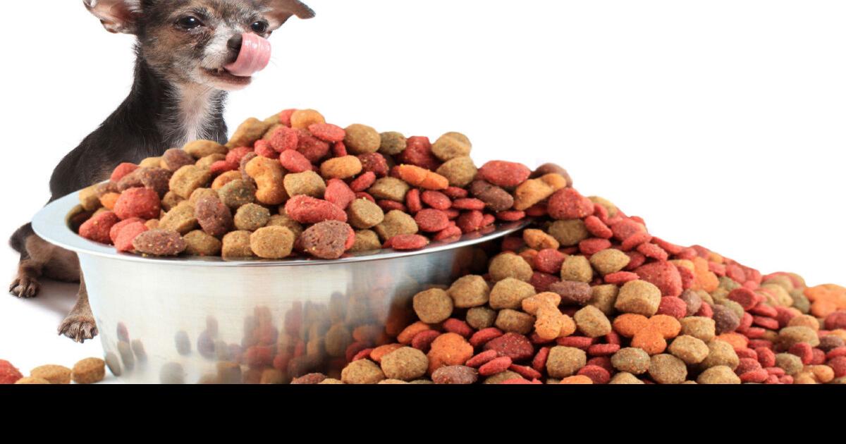 Convenience of free feeding dogs comes with many disadvantages