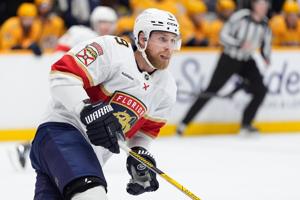 Lundell scores late, Panthers top Mammoth 4-3 for third consecutive win