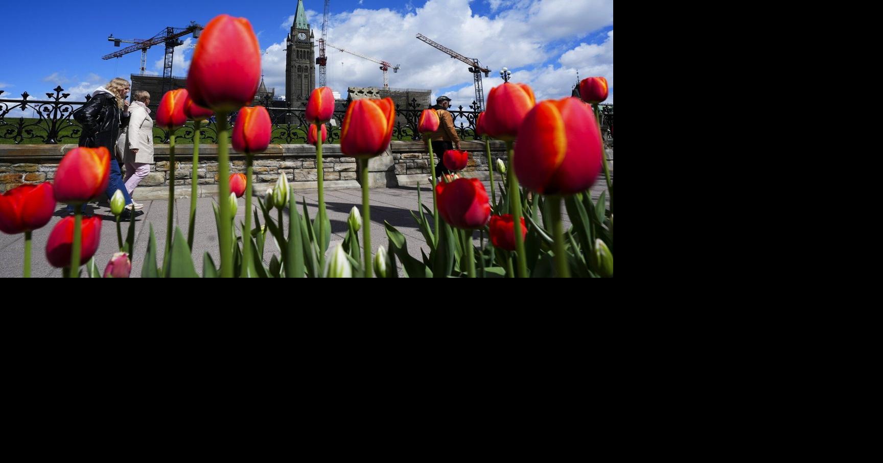 StatCan estimates population edged lower in the first quarter of 2026