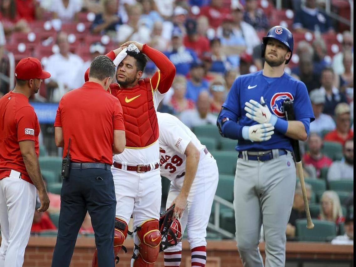 Obvious Store Willson Contreras Is An All Star Chicago Cubs Shirt