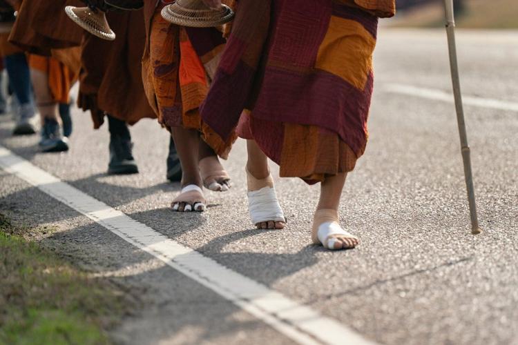 Monks Rescued Dog Photos of monks and rescue dog as they finish cross-country peace walk ...