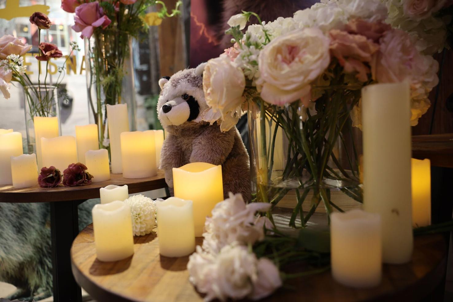 What Conrad the raccoon taught us about Toronto