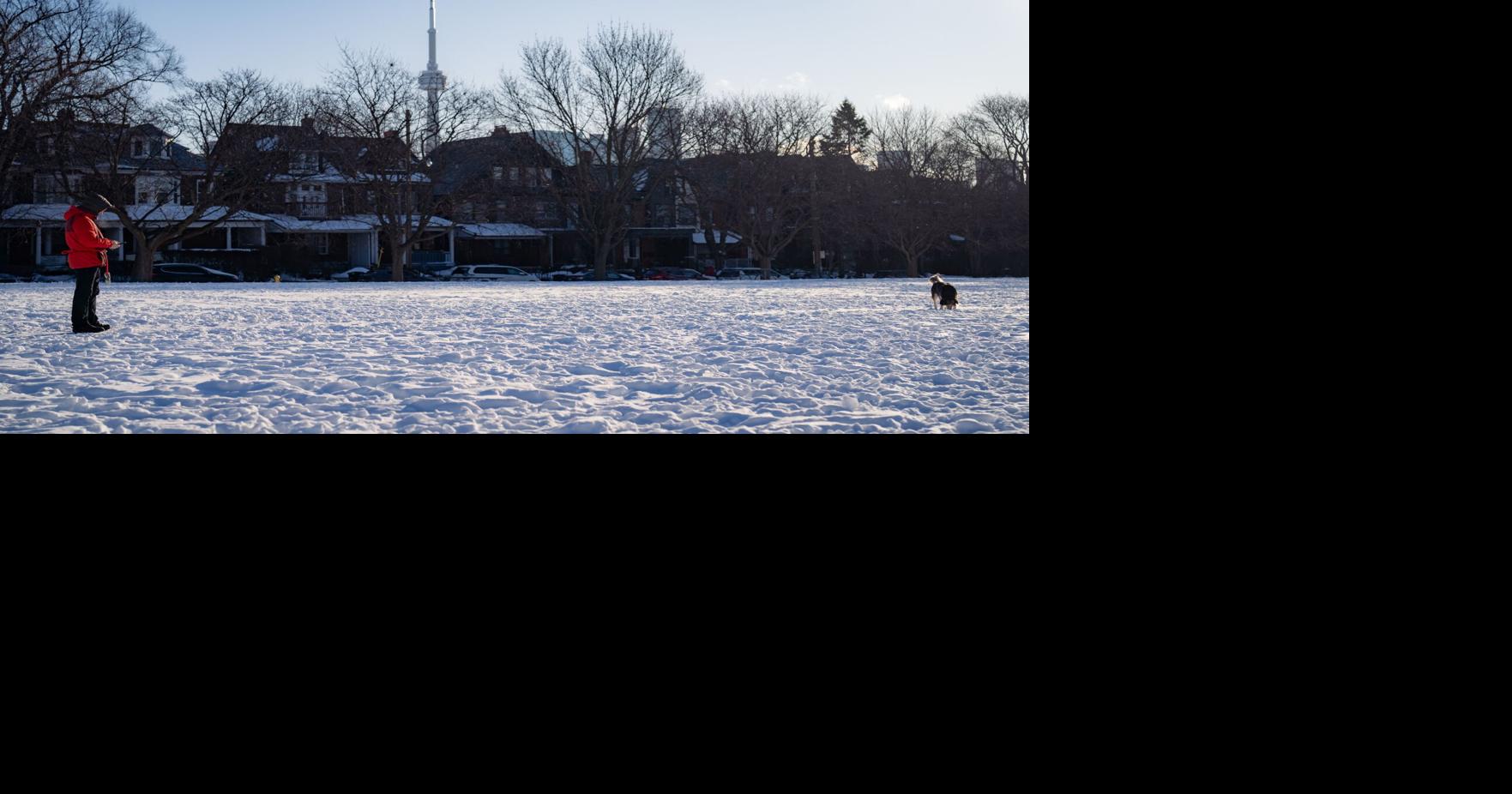 What to do in Toronto and the GTA on Family Day 2026