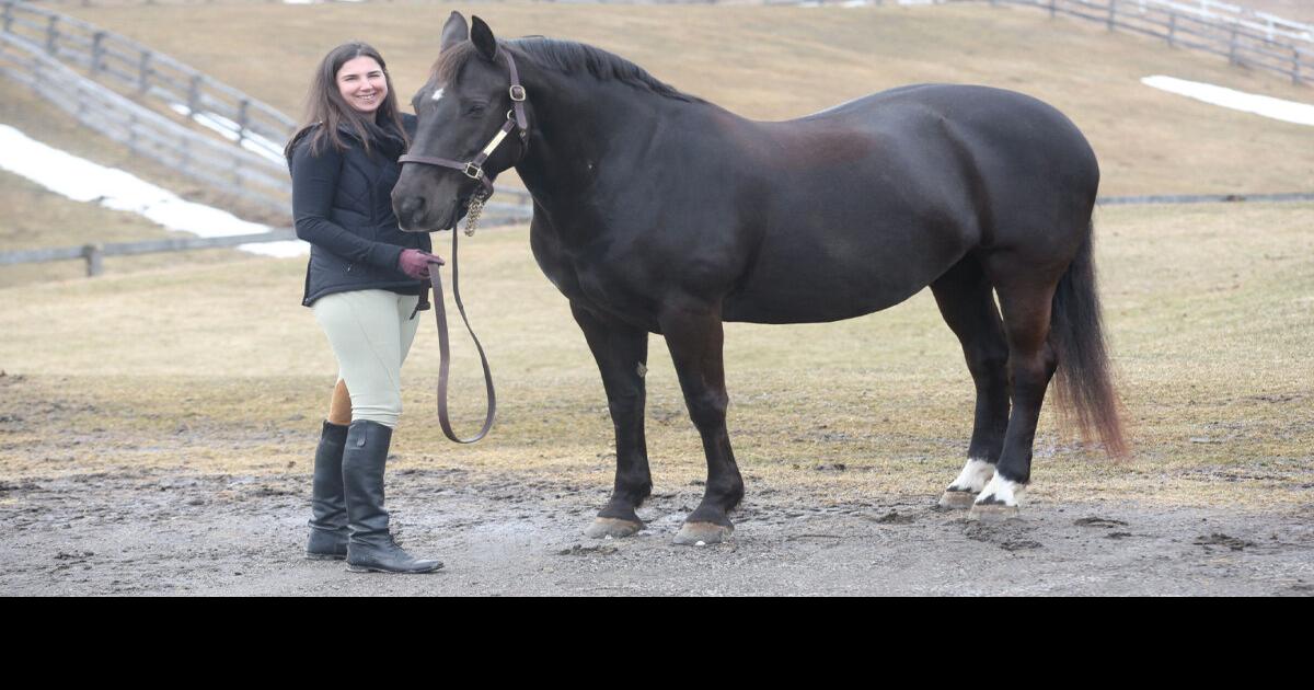 This 20yearold horse’s special diet keeps her looking half her age