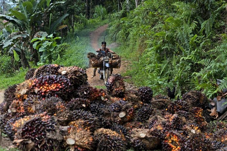 Worsening El Nino threatens Asia with drought, potentially raising food ...