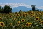 Mount Olympus, home of the ancient Greek gods, is a candidate for the UNESCO World Heritage List