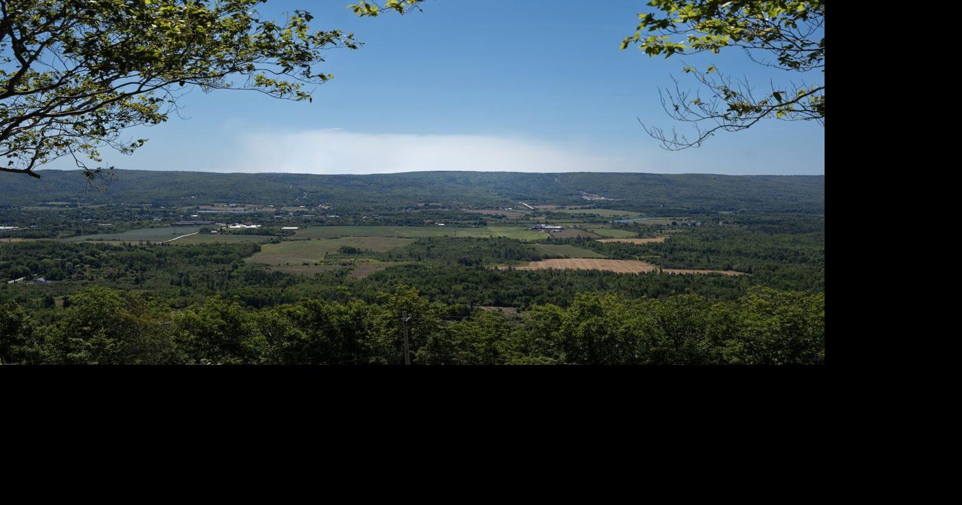 Nova Scotia's provincewide ban on entering the woods was unreasonable, court rules