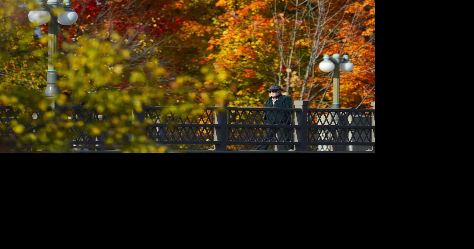 The ‘Super El Nino’ is upon us. What does that mean for Ontario’s fall colours? - Toronto Star