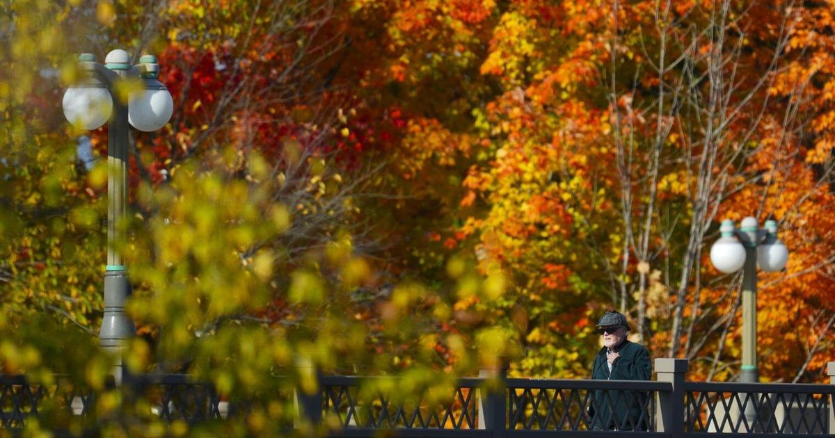 The ‘Super El Nino’ is upon us. What does that mean for Ontario’s fall colours? - Toronto Star