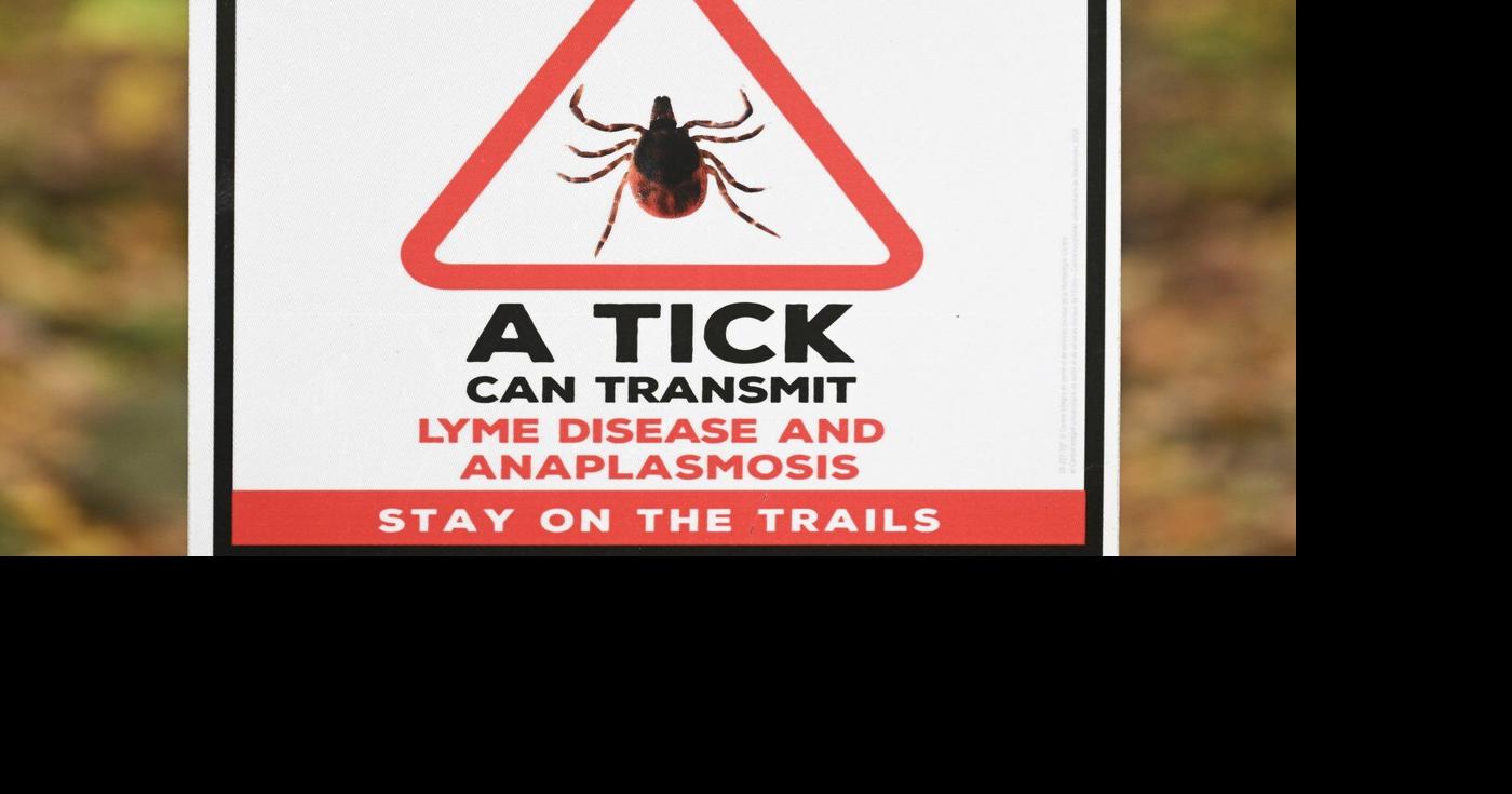 Lyme disease isn't the only tick-borne illness. Anaplasmosis is on the rise: doctors