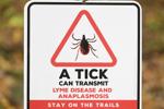Lyme disease isn't the only tick-borne illness. Anaplasmosis is on the rise: doctors