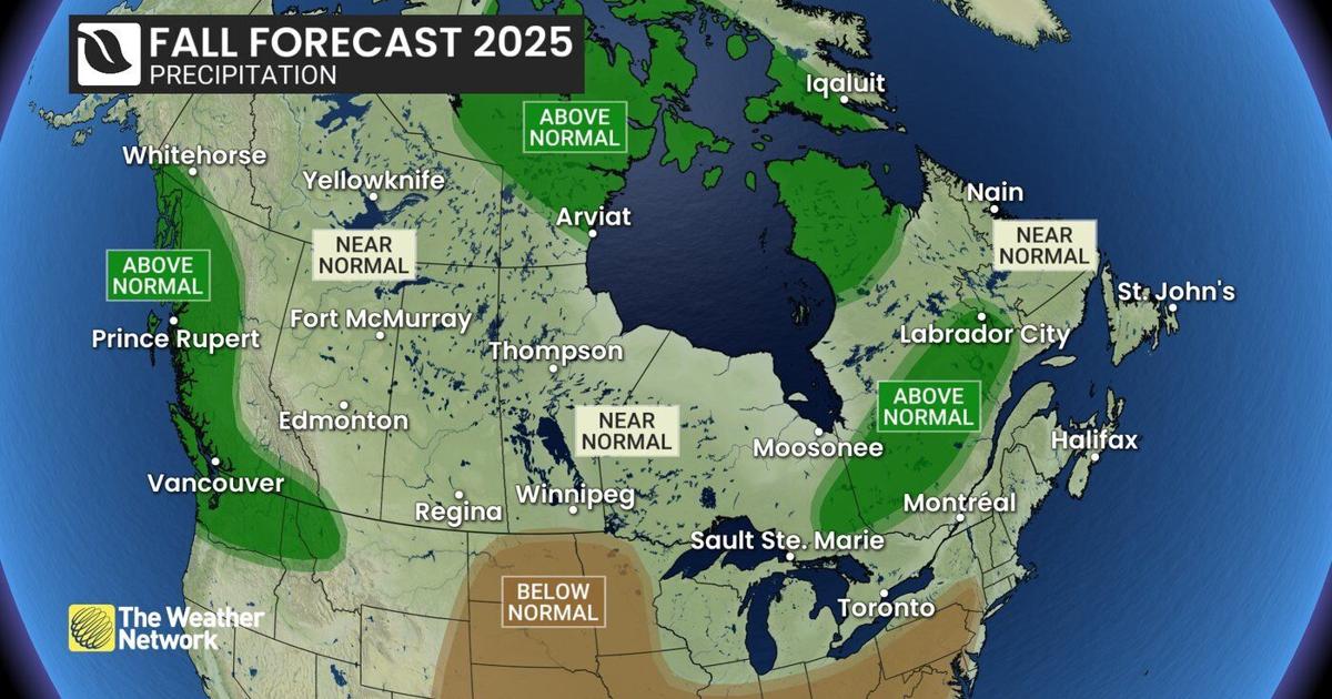 Mild fall with fewer storms could end with abrupt wintry switch: Weather ...