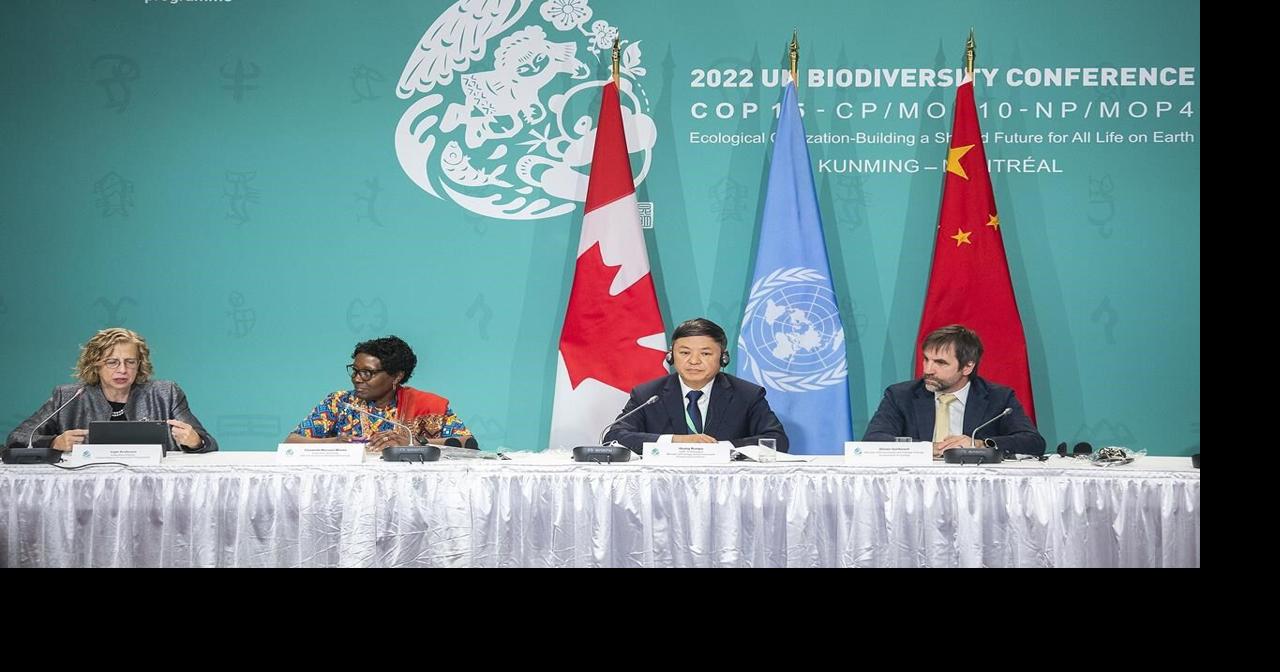 Real work begins at Montreal biodiversity conference