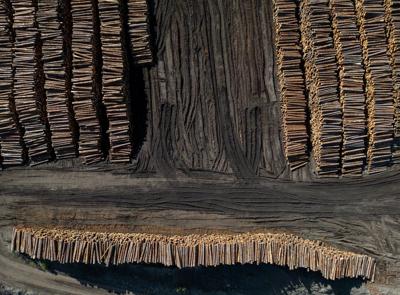 B.C.'s independent wood manufacturers decry retroactive U.S. softwood duties