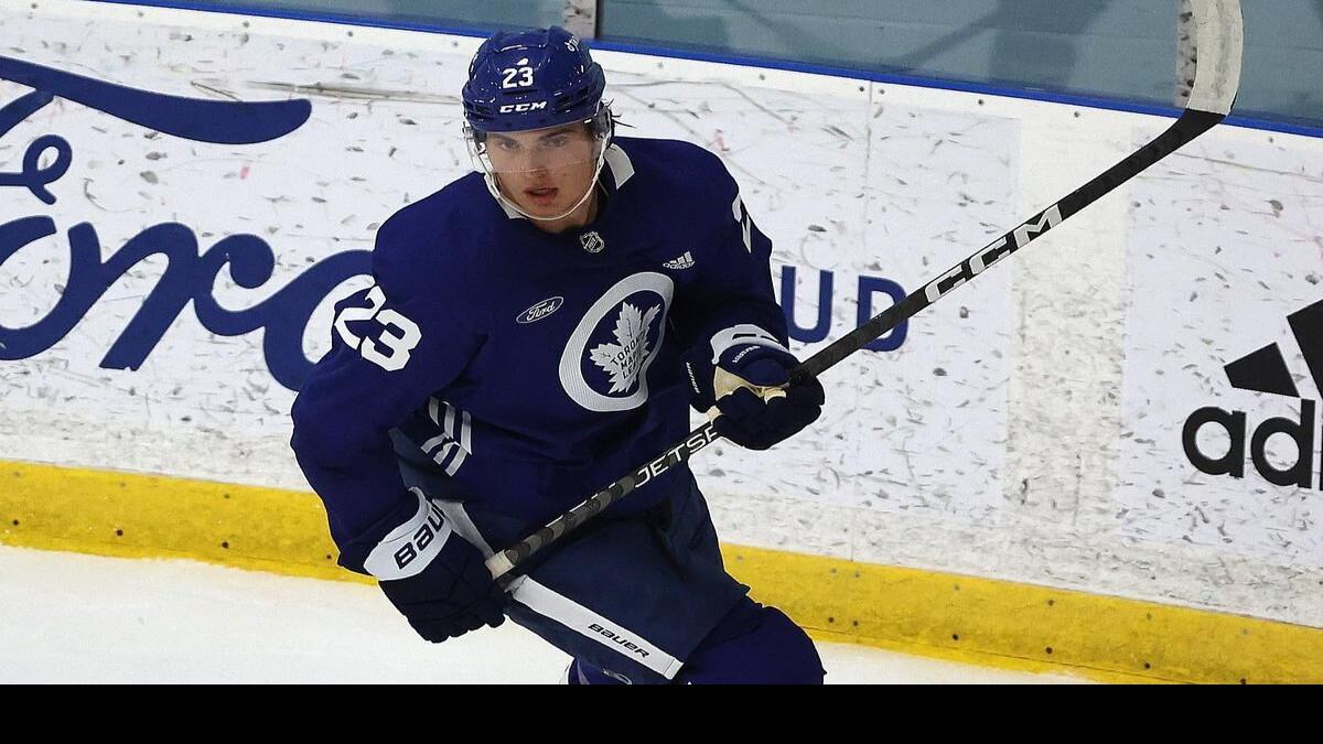 Quebec Nordiques emblem defunct hockey team | iPad Case & Skin