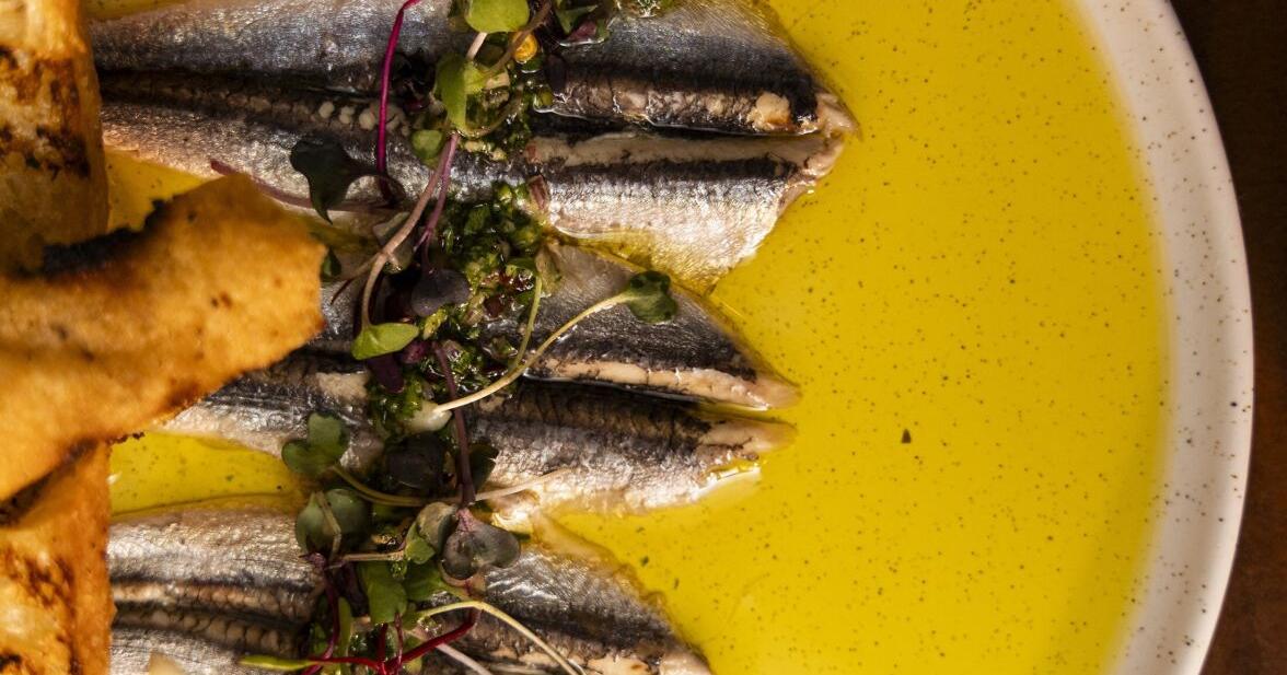 Experience Vieques: A weekend of adventure in Puerto Rico