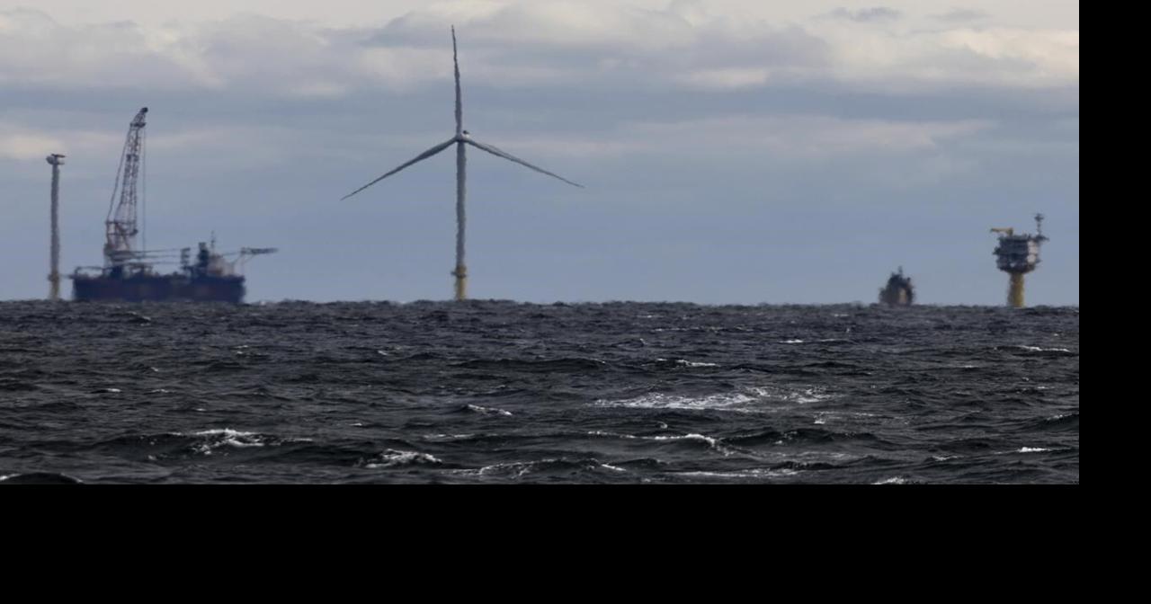 Contrary to politicians' claims, offshore wind farms don't kill whales ...