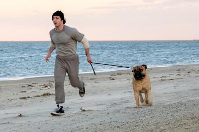 Sylvester Stallone, Rupert Murdoch biopics among projects coming to TIFF