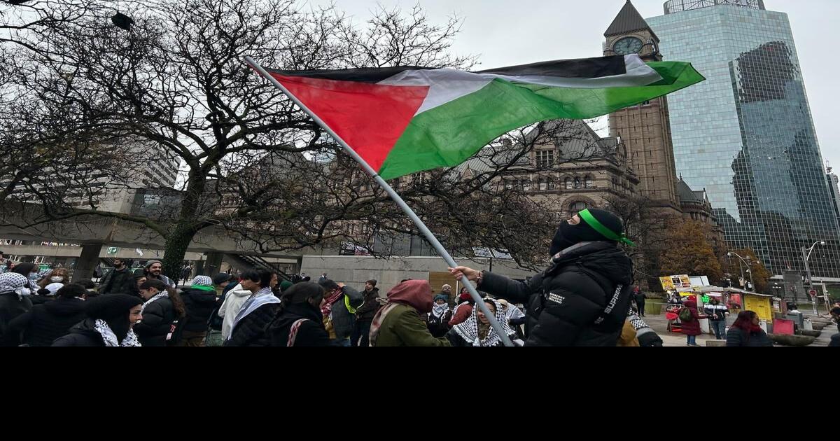 Pro-Palestinian protesters march through downtown Toronto