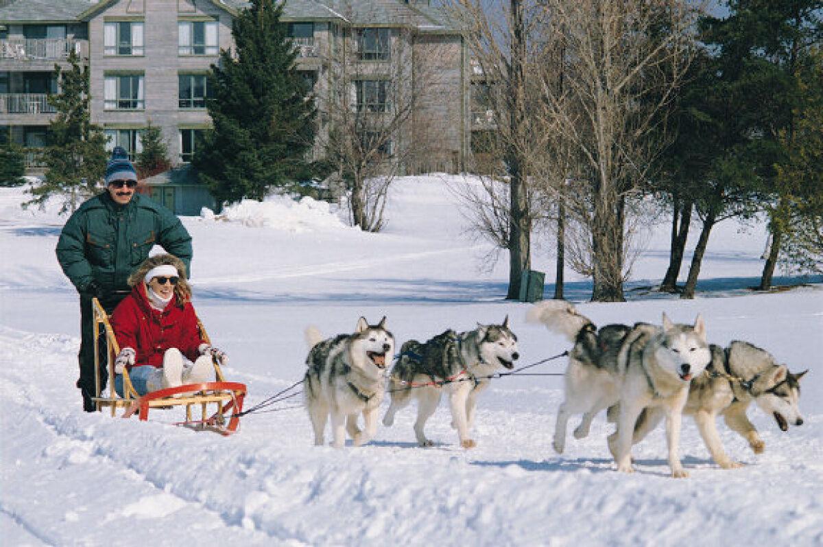 Snow Problem: The Case of the Mushing Madness