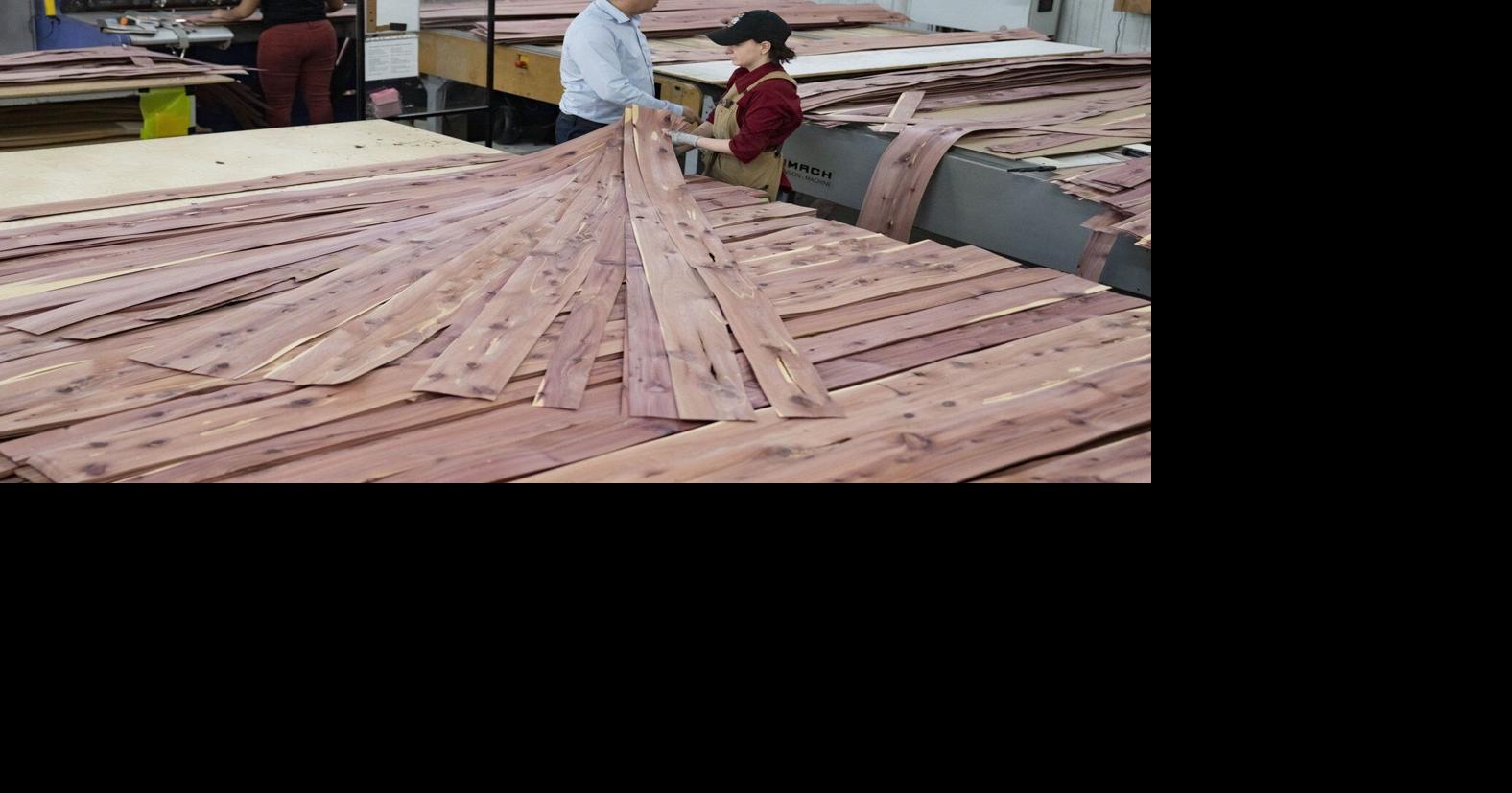 CBSA launches probe into possible dumping of Chinese plywood