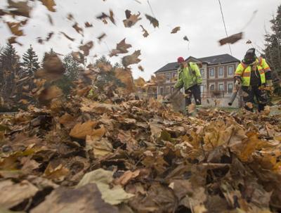 Hear that? It's the sound of leaf blower bans.