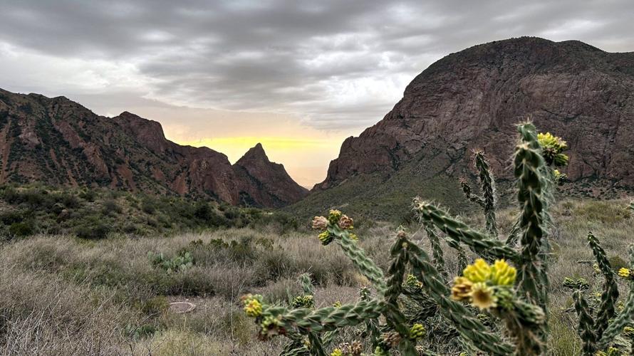 Judge temporarily blocks border wall construction in Texas’ Big Bend region