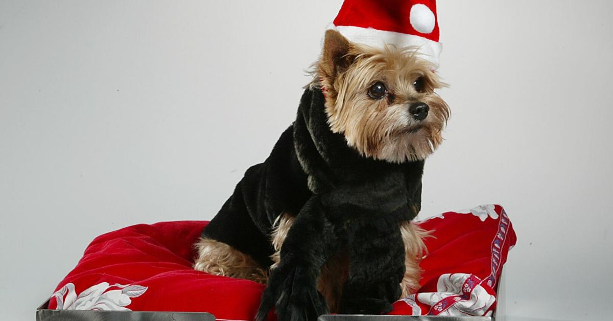 How to have a humane holiday