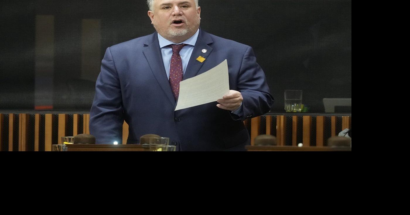 MP Johns endorses McPherson, calls her a 'strong' choice for NDP leader