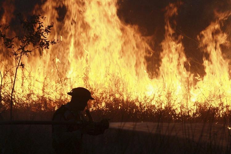 Indonesian police arrest 44 people suspected of starting forest fires