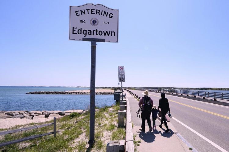 Endurance athlete to swim around Martha’s Vineyard to change public perception of sharks