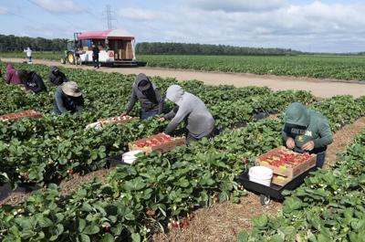 Ontario to change how it compensates injured migrant workers