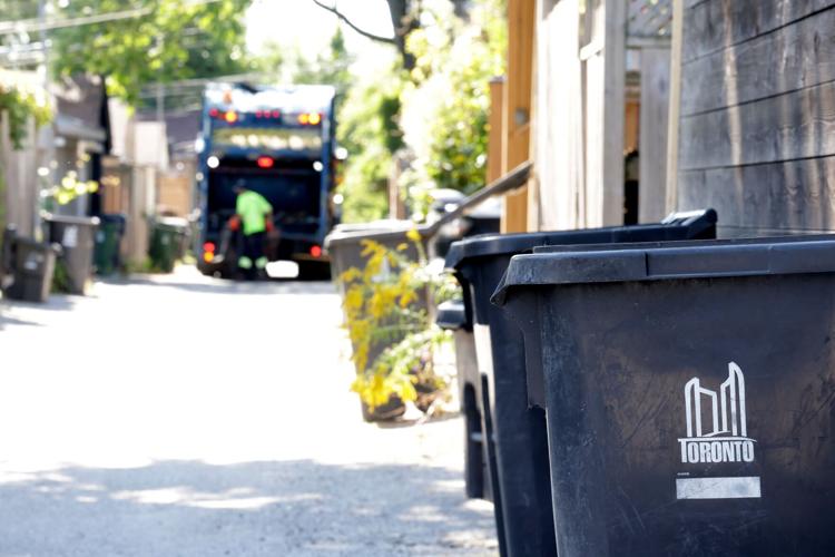 Blue bin Spurr.JPG
